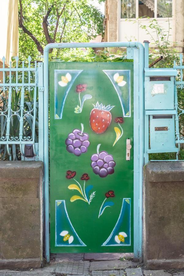 Barcelona Colorful Central Studio W Green Backyard Sofia Zewnętrze zdjęcie